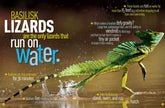 Ultimate Weird But True! (National Geographic Kids) - The English Bookshop Kuwait